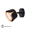 ARTE LAMP A8028AP-1BK